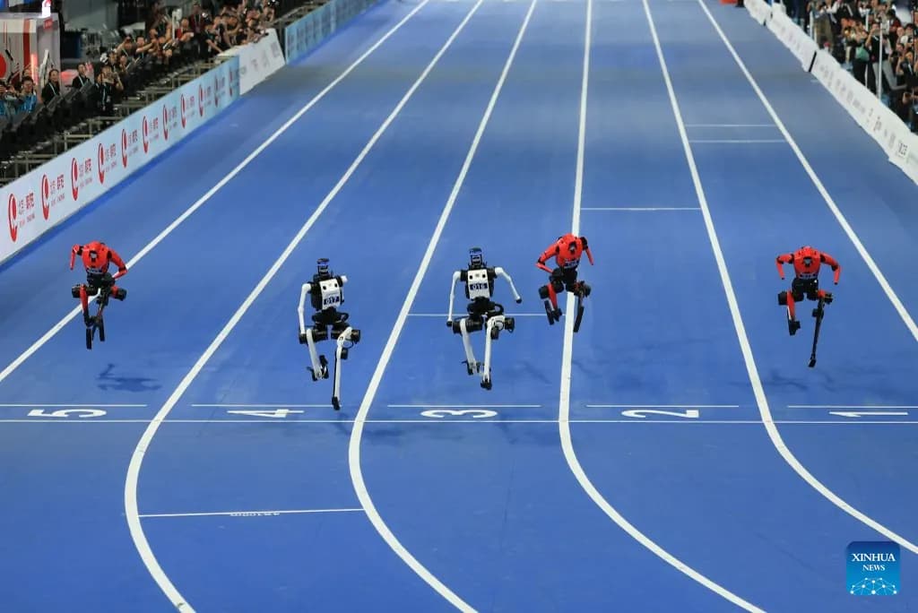 Plusieurs robots humanoïdes lancés dans la finale du 100 mètres à Pékin